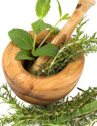 Treating Ocd With Herbal Remedies